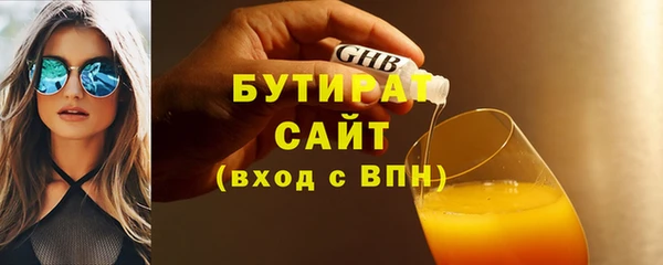 индика Гусь-Хрустальный